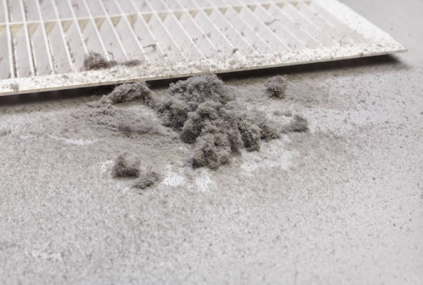 Best Commercial HVAC Duct Cleaning  in Cherryland, CA