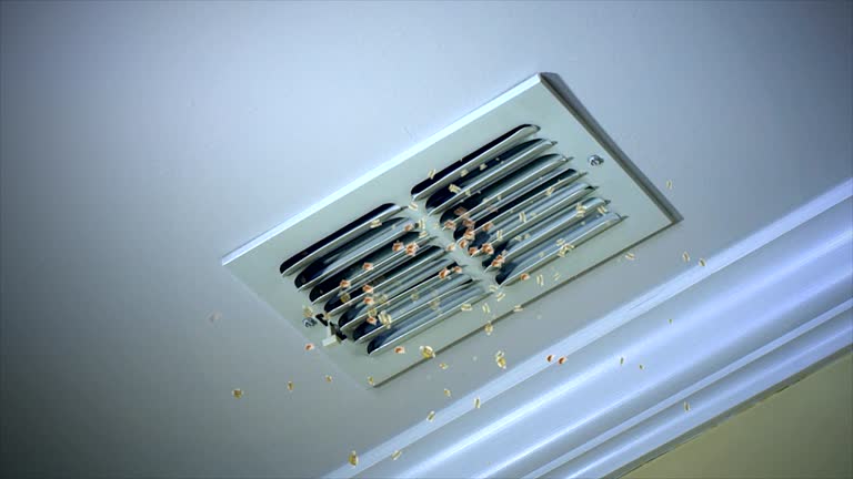 Best Dryer Vent Cleaning Services  in Cherryland, CA