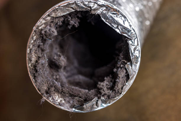 Best HVAC System Cleaning  in Cherryland, CA